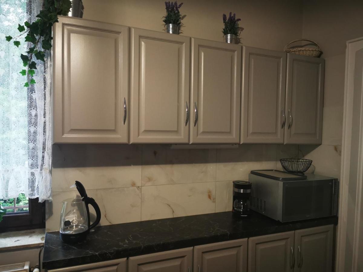 Apartament Mario Bezplatny Parking Bielsko-Biała Esterno foto